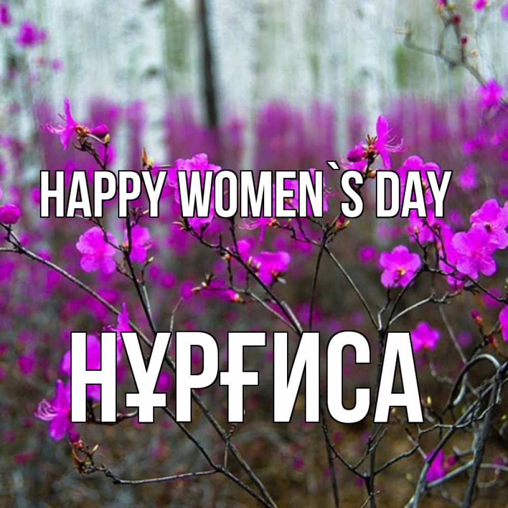 Greetings card с именем, НҰРҒИСА happy women`s day дикие цветы Greetings with text for free download 